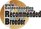 www.goldendoodles.com Recommended Breeder